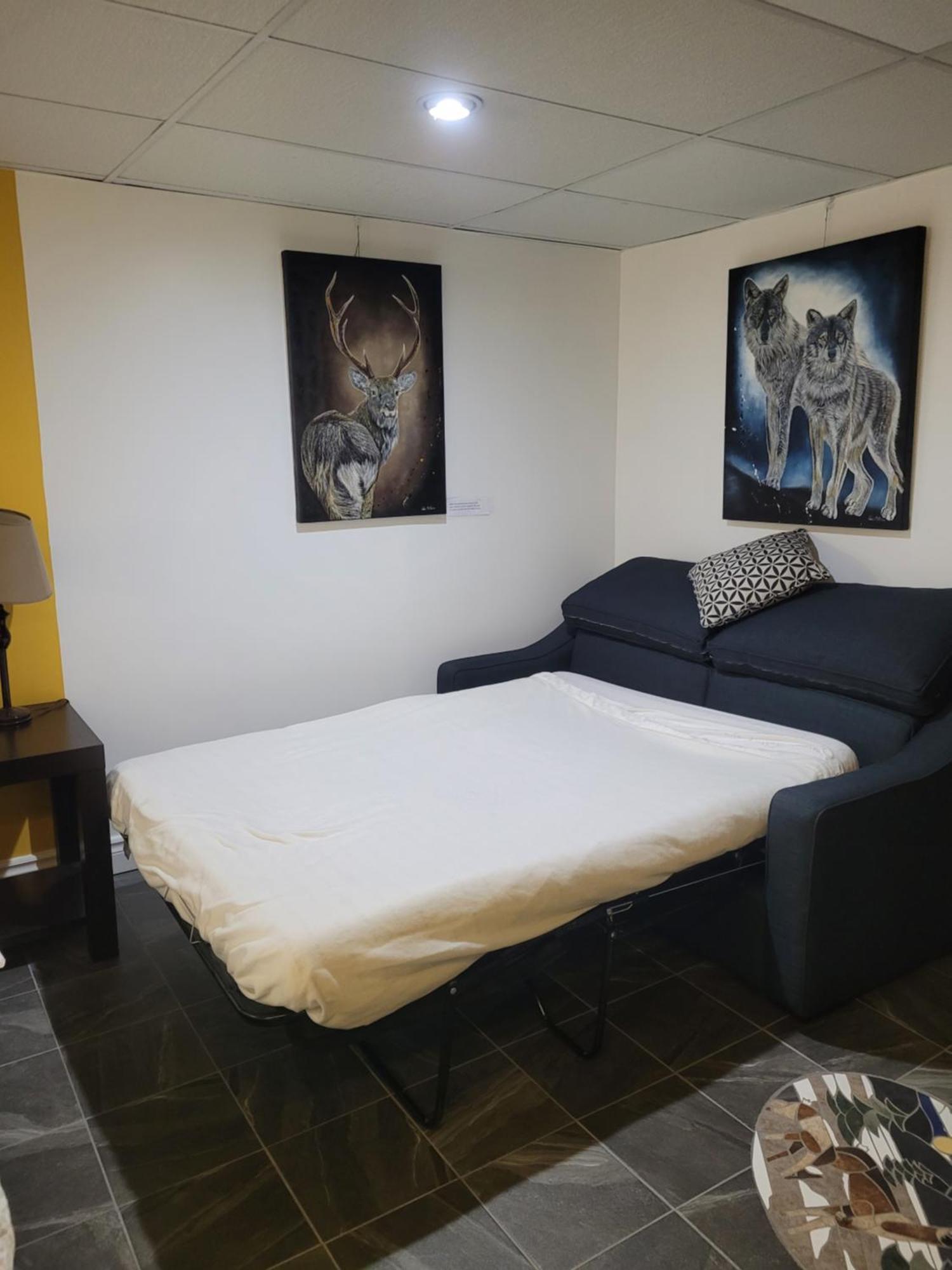 Studio Bellevue Saint-Felicien Bagian luar foto